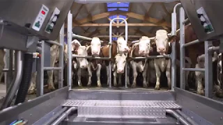 GEA Dairy Farming - GEA DairyParlor P7550