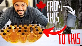 How to make maple syrup from start to finish