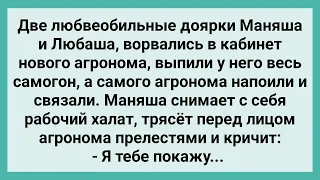 Две Доярки Ворвались в Кабинет Агронома! Сборник Свежих Смешных Жизненных Анекдотов!