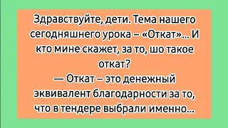 Откат! 😁 Подборка еврейских анекдотов. Лучшие смешные до слёз анекдоты без мата про евреев.