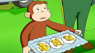 Curious George 🐵Surprise Quints 🐵WildBrain