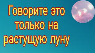 Говорите это только на растущую луну. | Тайна Жрицы |