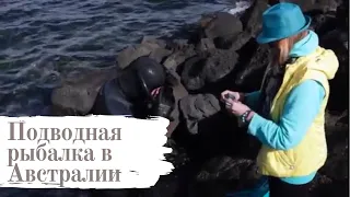 Подводная рыбалка в Австралии.