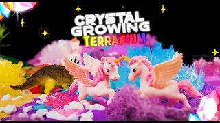 How to make your own Unicorn and Dinosaur crystals at home and add them to a terrarium!