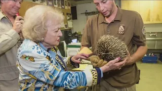 Remembering Betty White: Late actress was known for animal activism