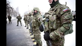 Slovak Armed Forces