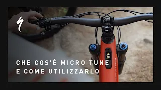 Che cos'è Micro Tune e come utilizzarlo | ITA