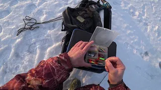 Поиск полосатого по тонкому льду