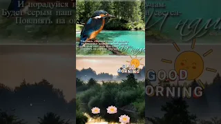 Утреннее пение птиц🐦 Доброе утро 🌞