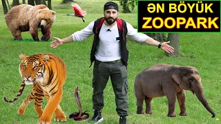 DÜNYANIN ƏN BÖYÜK ZOOPARKINA GETDİM / GÖRMƏDİYİM HEYVANLAR