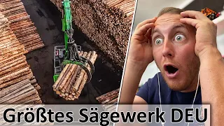 Das größte SÄGEWERK Europas - Sennebogen 735E Pick & Carry Umschlagbagger - M4cM4nus reagiert