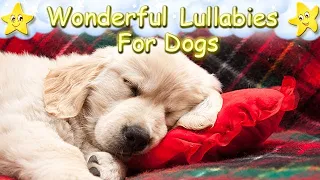 Sleep Music For Puppies Soft Lullabies ♫ Calm Relax Your Dog ♥ Lullaby For Dogs Dog Music