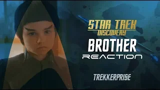 Star Trek Discovery - Brothers Reaction