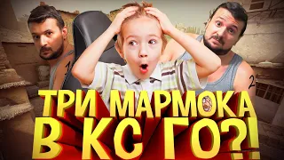 ТРИ МАРМОКА! ТРОЛЛИНГ ГОЛОСОМ МАРМОКА В CS:GO #4