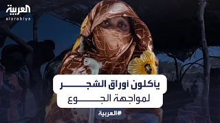 مع استفحال أزمة الجوع.. سودانيون يقتاتون على أوراق الشجر