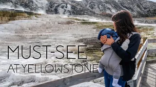 Top Things to See at Yellowstone National Park