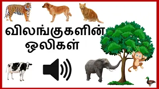 Learn Animals Sound in Tamil for Children | Animal Sounds | விலங்குகளின் பெயர்கள் மற்றும் ஓசைகள்