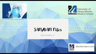 SAM/BAM File Formats Session 3.3