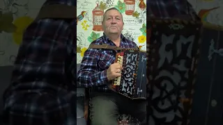 5 Гармонь. Николай Симилиди. г. Болград, 2023