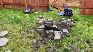 Yard damage after the moose battle