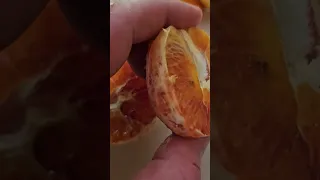 Raspberry Orange?