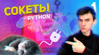 Урок 1 - Что такое сокеты в программировании Python sockets