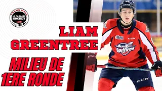 Liam Greentree - Et si le CH obtiens un choix 10-15?