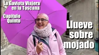 La Gaviota Viajera #79: En la Toscana, "Llueve sobre mojado", Capítulo Quinto