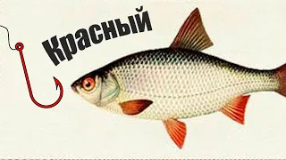 Почему красный крючок ловит больше всего рыбы?