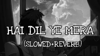 hai dil ye mera lofi song | arijit singh | [slowed+reverb] #lofi#slowedandreverb#arjitsingh