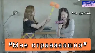 Как хорошо Дженни знает Джису?/BLACKPINK[Озвучка KAZZUS]