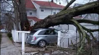 Dangerous Biggest Tree Cutting Fails With Chainsaw Working - Heavy Tree Falling On Car Pathetic