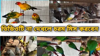 ভিডিওটি না দেখলে চরম মিস করবেন//