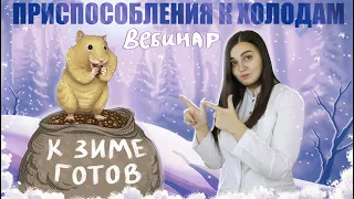 Приспособления к зиме. Биология ЕГЭ. Вебинар с Марией Юрьевной. Гарант Успеха.