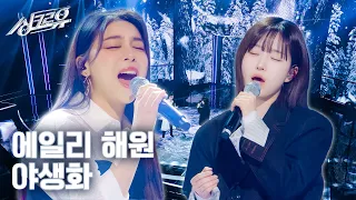 [클린버전] 에일리 x 엔믹스 해원 - 야생화 (원곡 : 박효신) #싱크로유 2화 3라운드🎤