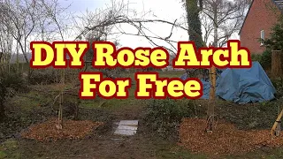 DIY Rose Arch For Free / Garden Arbor Arch/ Rustic/ Wood chip Mulch