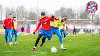 Öffentliches Training nach dem Frankfurt-Spiel