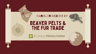 Hands-on History #7: Beaver Pelts and the Fur Trade