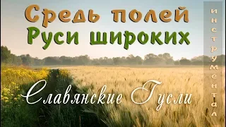 Among the fields of Russian wides - Russian Traditional Music in 432 Hz on Gusli | Slavic music