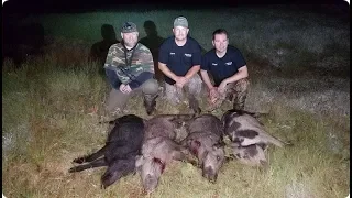 5 Hogs Down North Texas