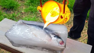 Experiment: Lava vs Frozen Fish