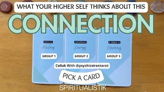 What Your Higher Self Thinks About This Connection 💜PICK A CARD💜 Collab @psychicsirentarot