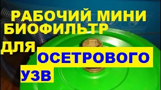 РАБОЧИЙ МИНИ  БИОФИЛЬТР ДЛЯ ОСЕТРОВОГО УЗВ