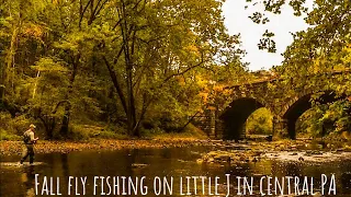 Fall Fly Fishing on the Little J in Central PA