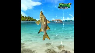 Where do you like to fish? (1-3) Fishing Rival