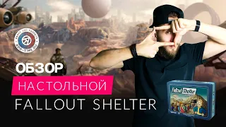 Обзор настольной Fallout Shelter: рассказываем про русскую версию и сравниваем с мобильной игрой