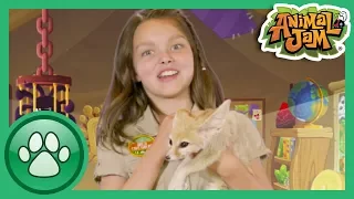 Wild Explorers - Meet a Fennec Fox!