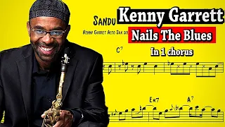 The Perfect Beginner (jazz)Blues Sax solo | by Kenny Garrett on "Sandu"