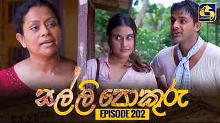 SALLI POKURU || EPISODE 202 || සල්ලි පොකුරු || 15th April 2024