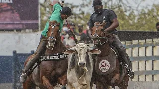 Liberaram o Piseiro - Agito Da Pisada [Vaqueiro Do Sertão]